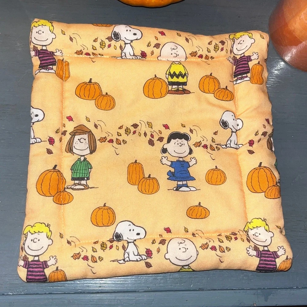 Harvest Pumpkin Patch - Thanksgiving Autumn fabric - Hot Pad - Halloween EUC
